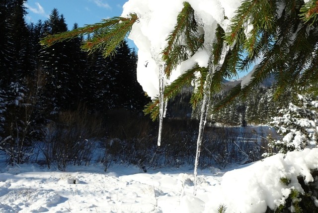 Gorski kotar